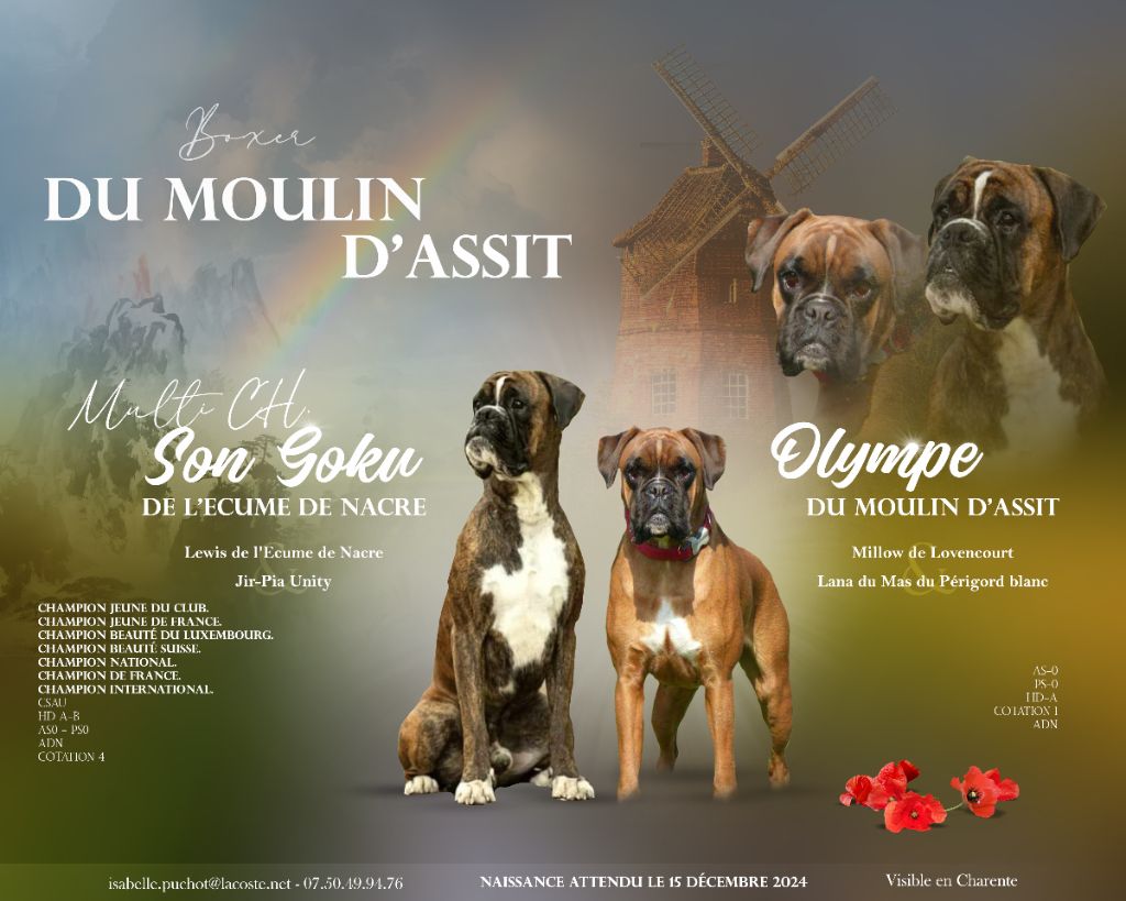 Du Moulin d'Assit - Naissance a l élevage 